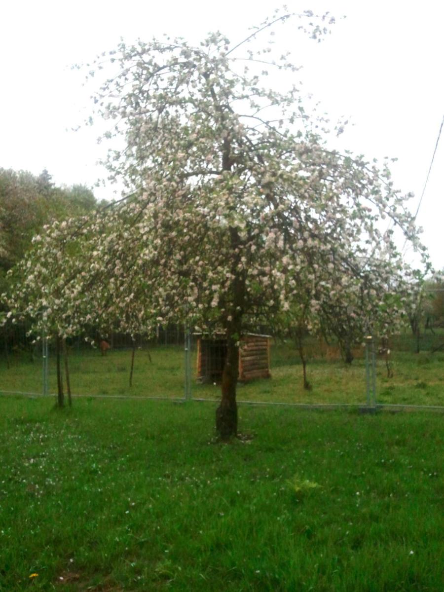 Photo 51
