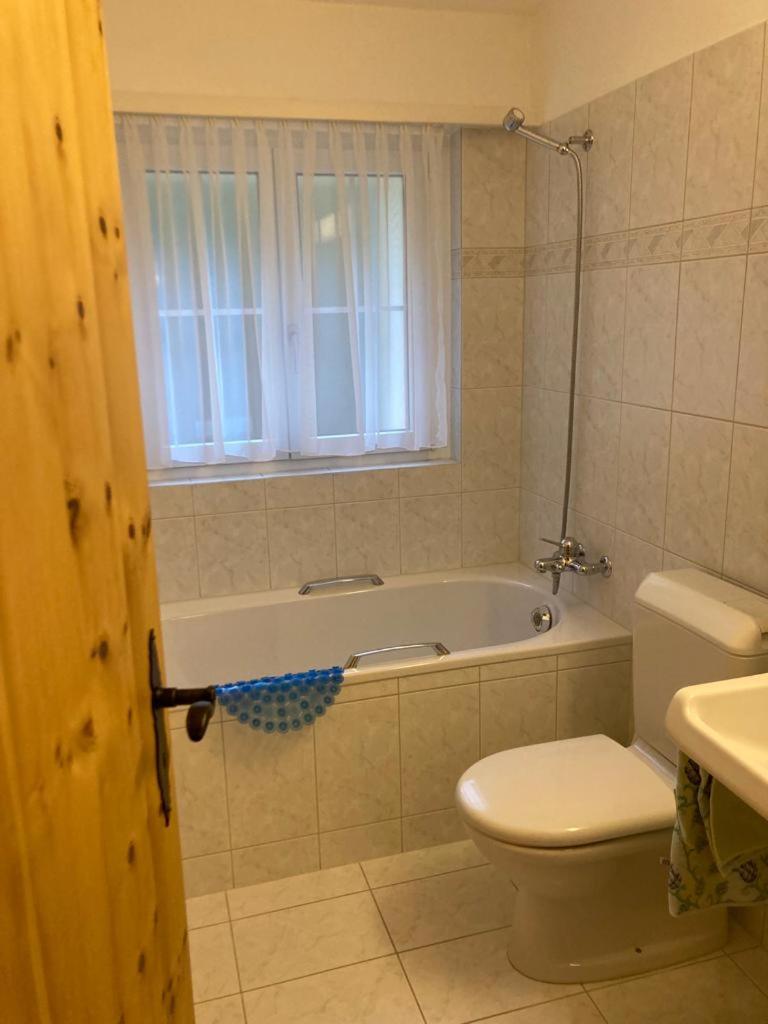 WEF Davos, 2 bedroom apartment, 3 guests