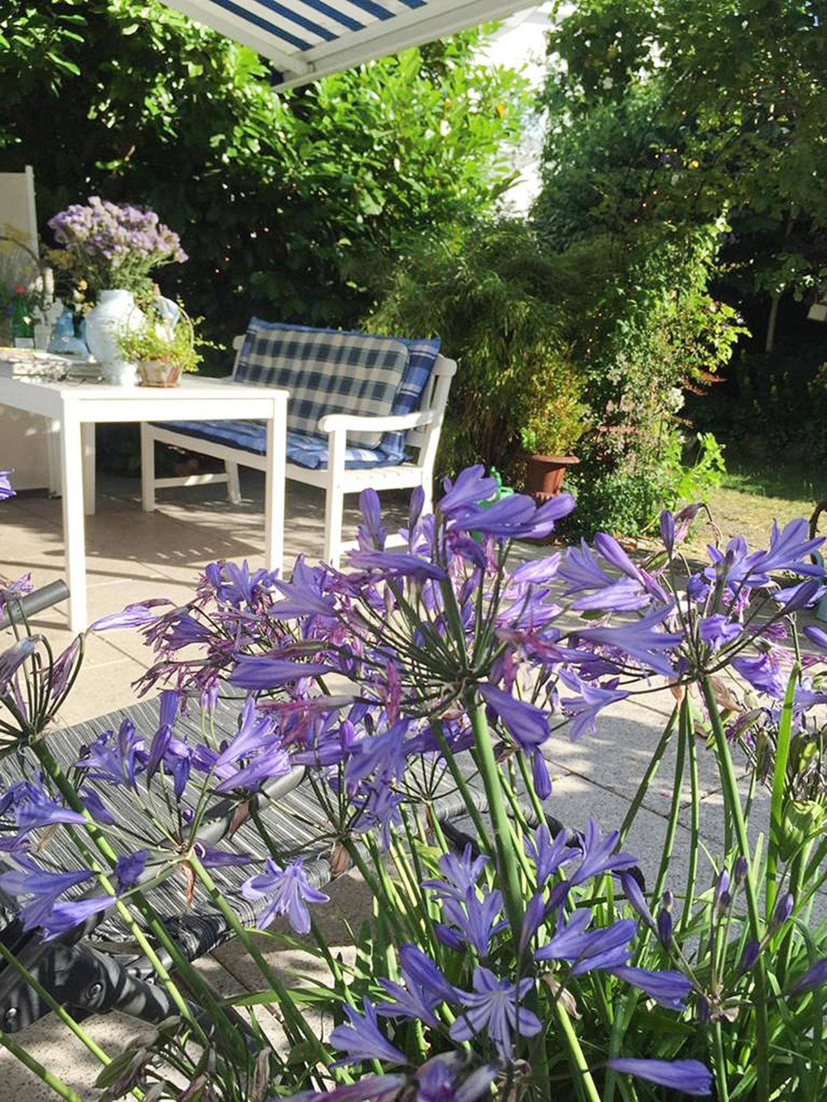 Unser Sommerhaus