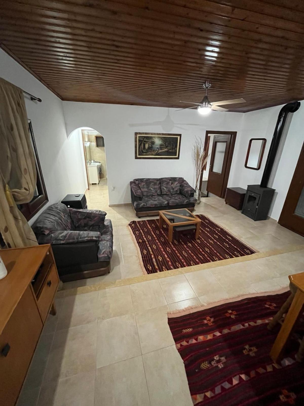 Antoneiko house