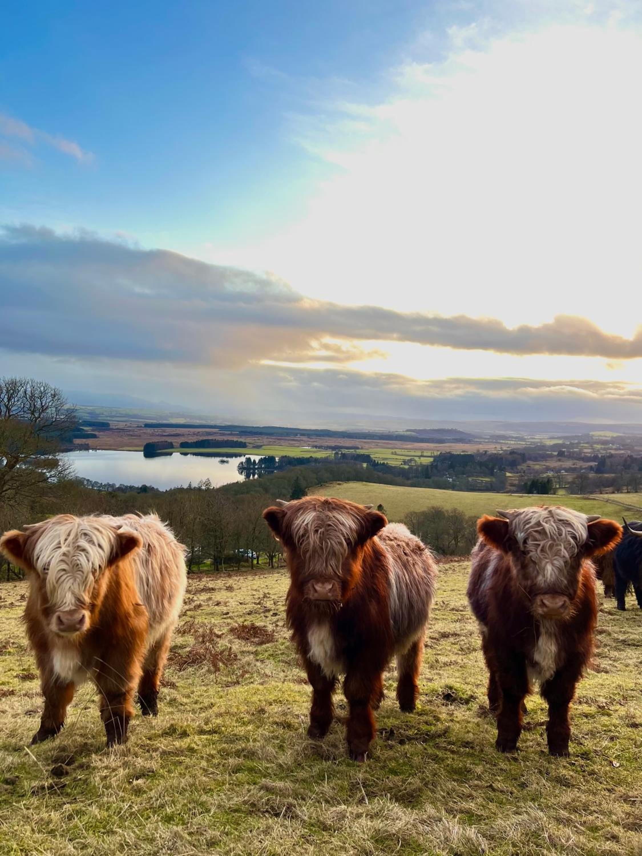Nether Glenny Farm