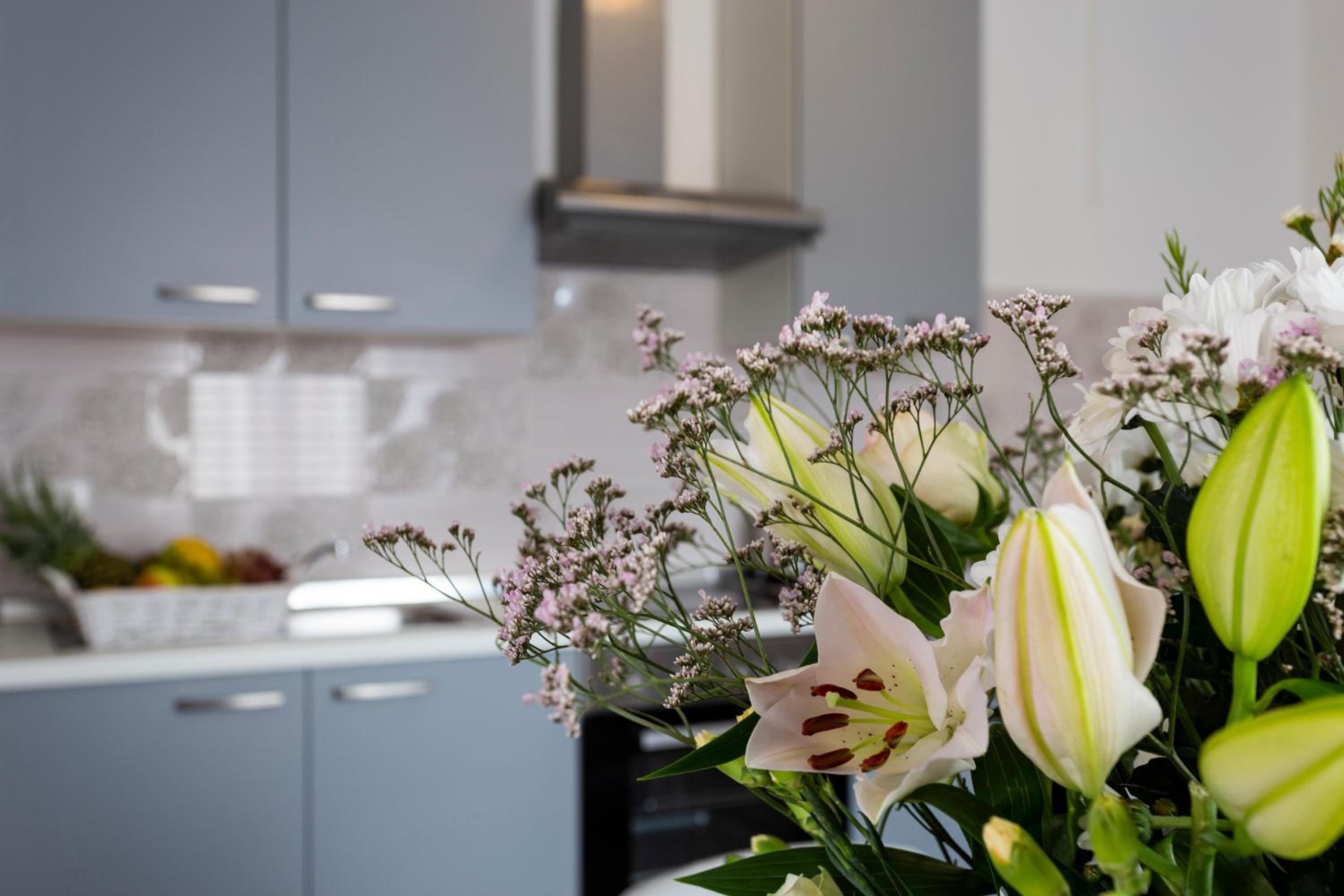 Newly renovated apartments in Funtana