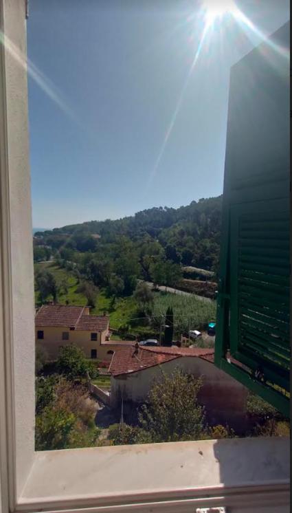 CASA MISHA