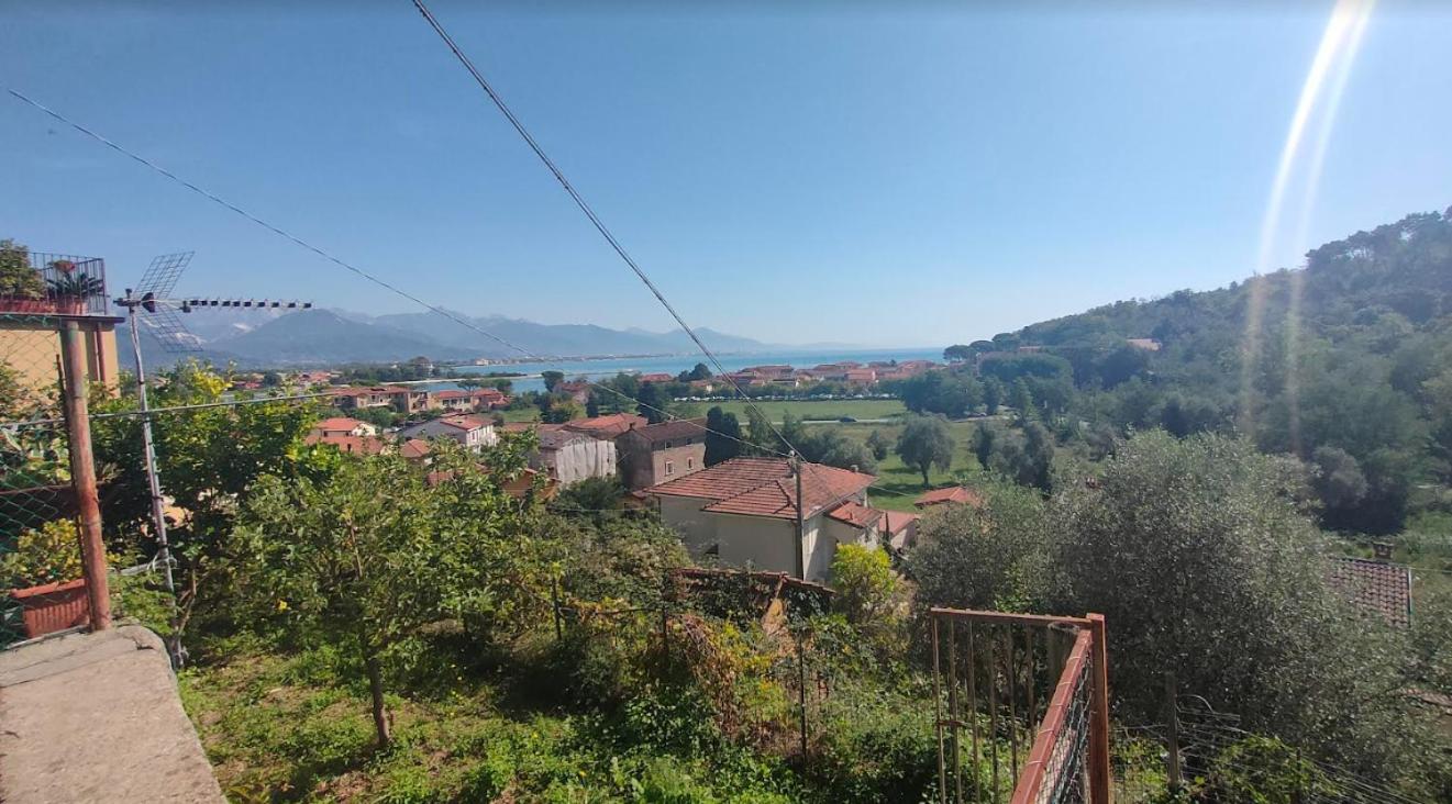 CASA MISHA