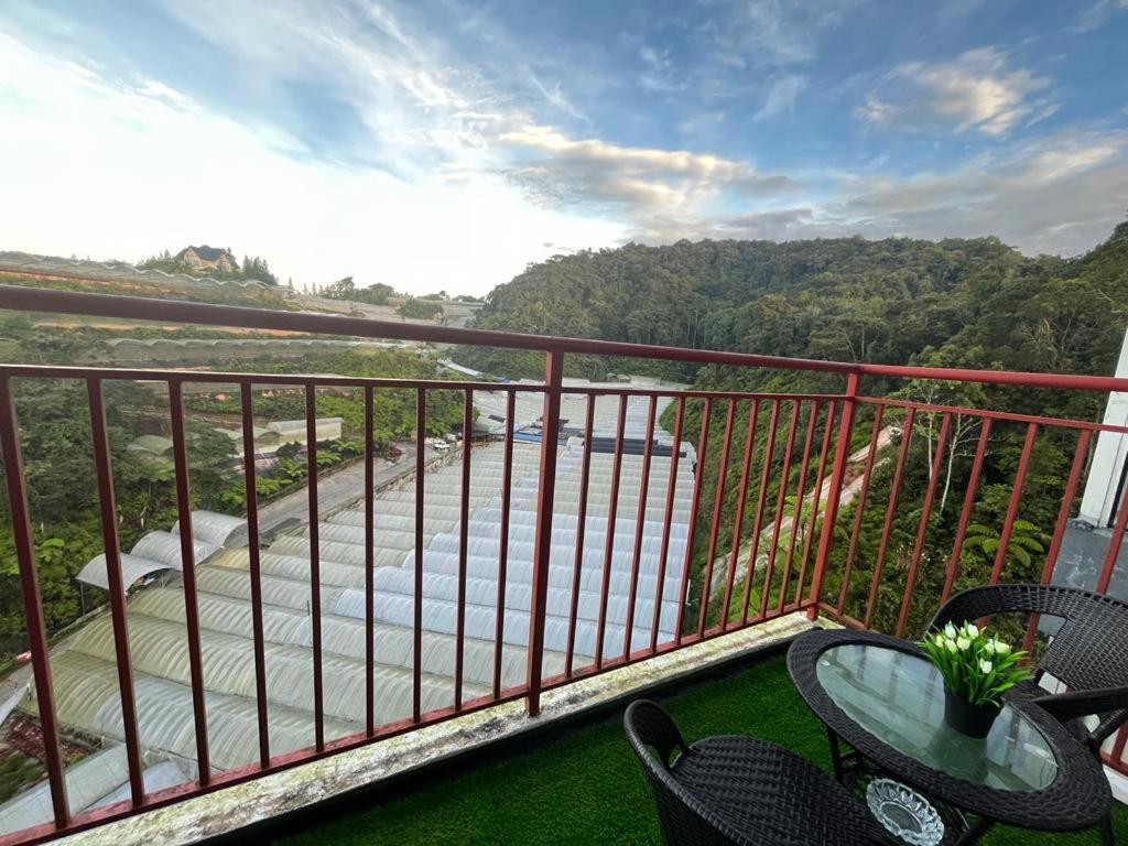 CRYSTAL D CAMERON HOMESTAY photo 2