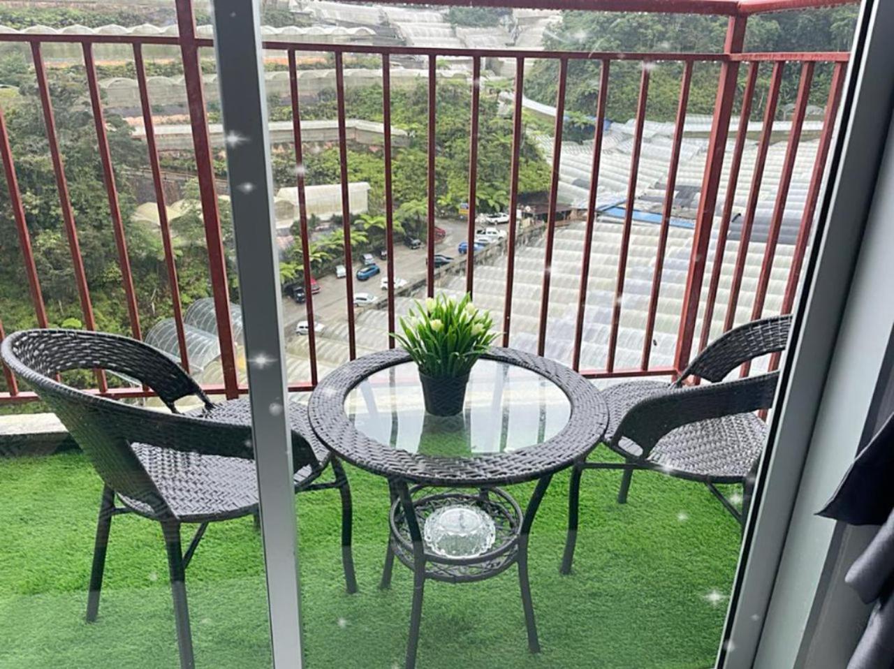 CRYSTAL D CAMERON HOMESTAY photo 4