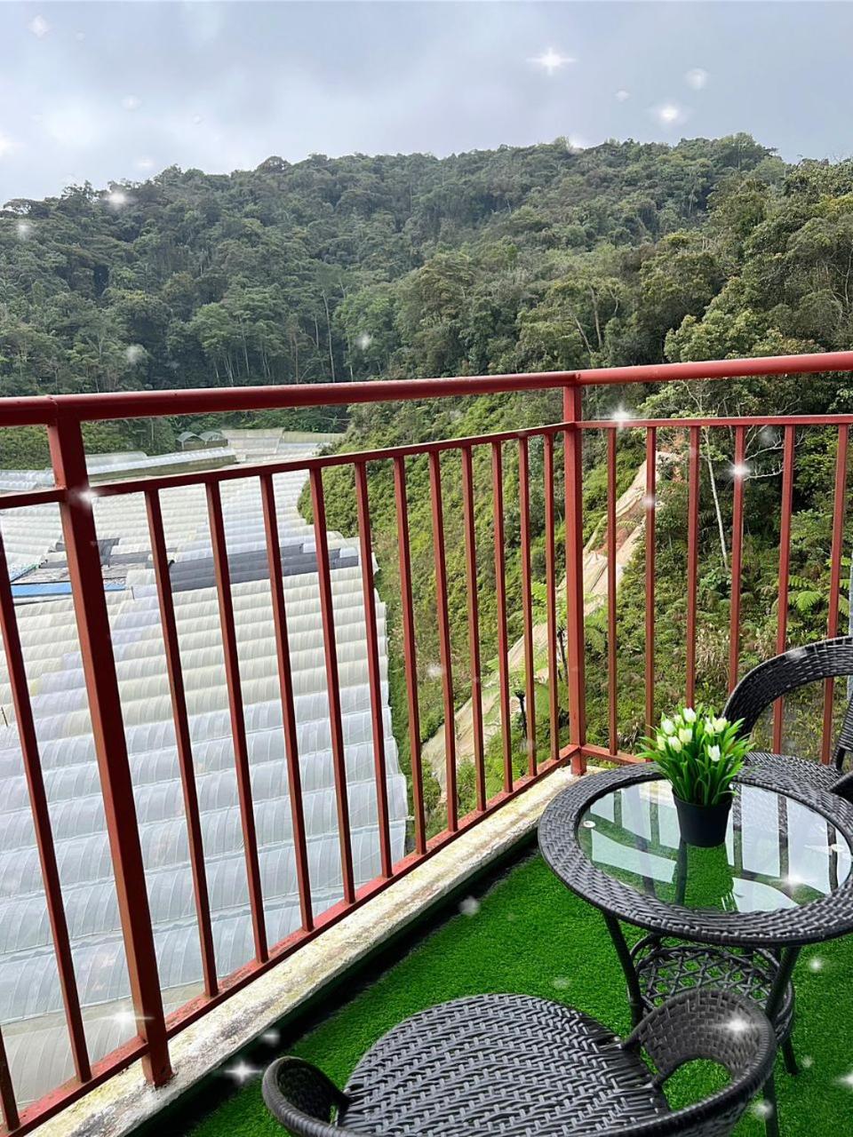 CRYSTAL D CAMERON HOMESTAY photo 6