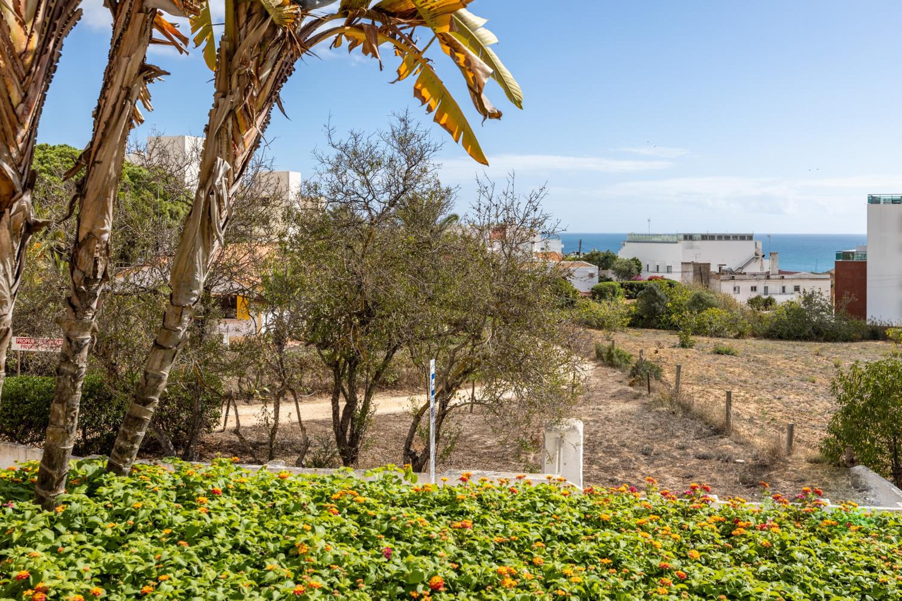 Studio Dona Ana view 3