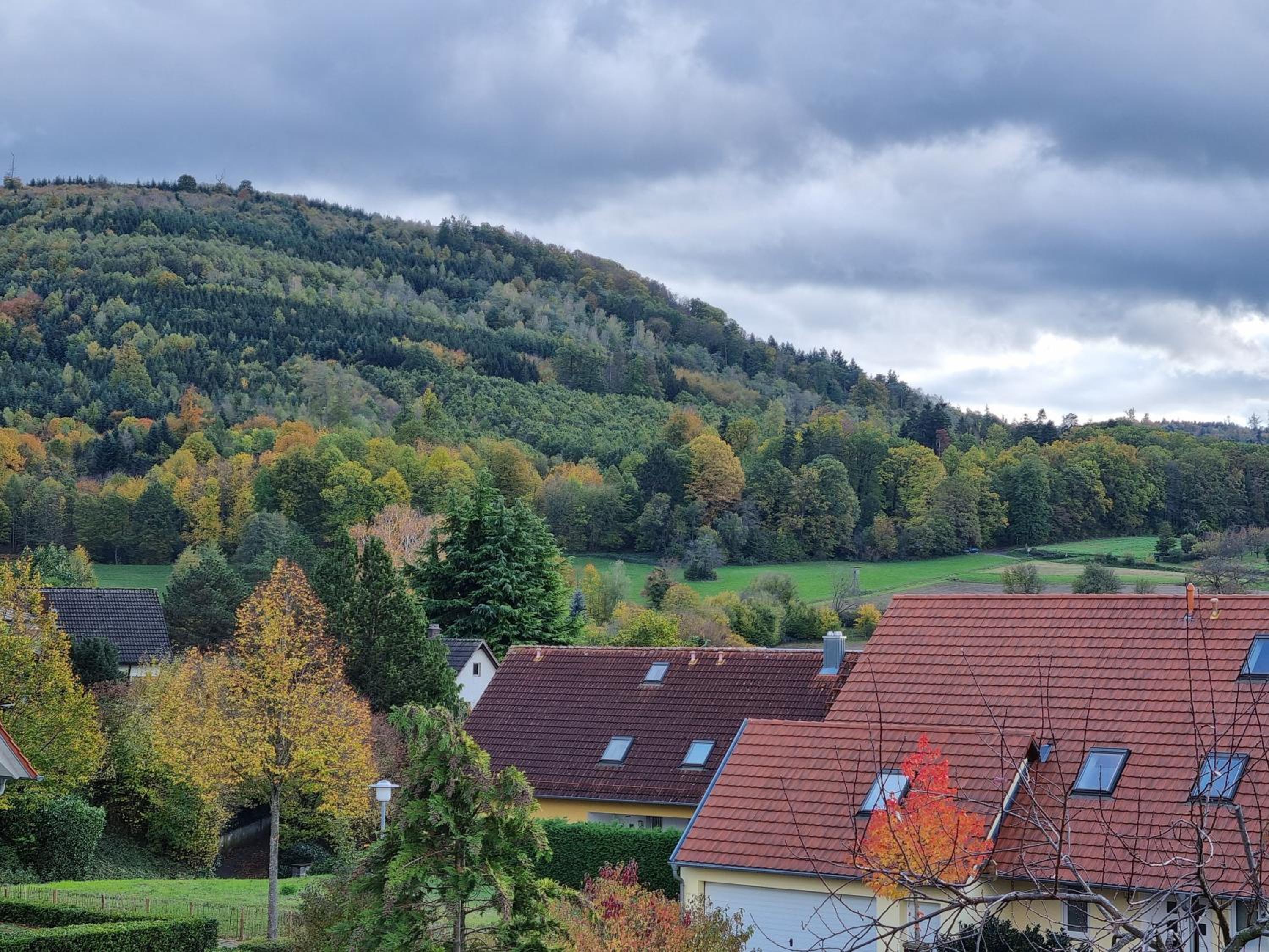 Ferienwohnung Waldblick