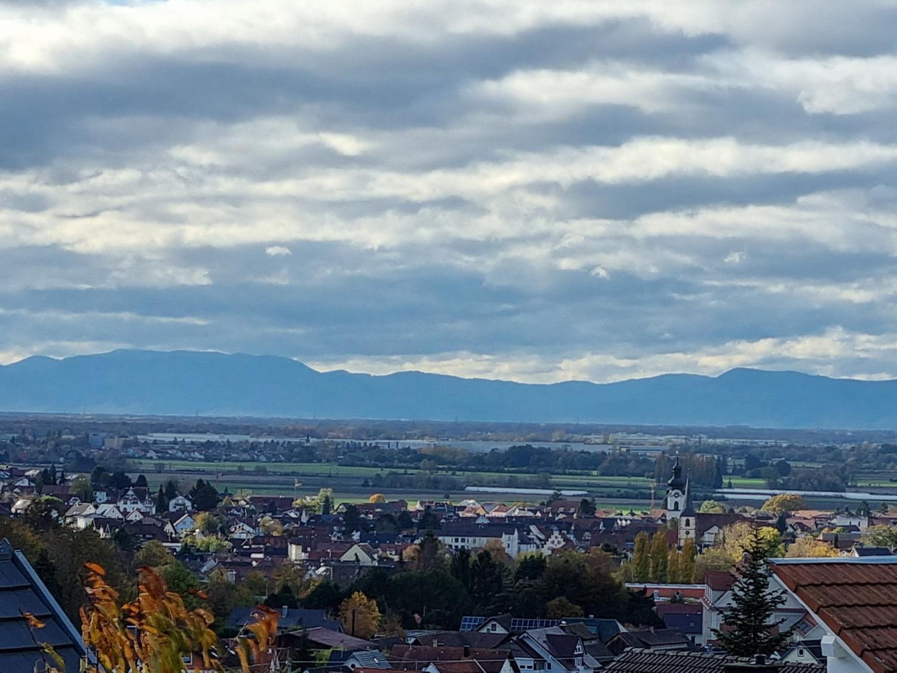 Ferienwohnung Waldblick