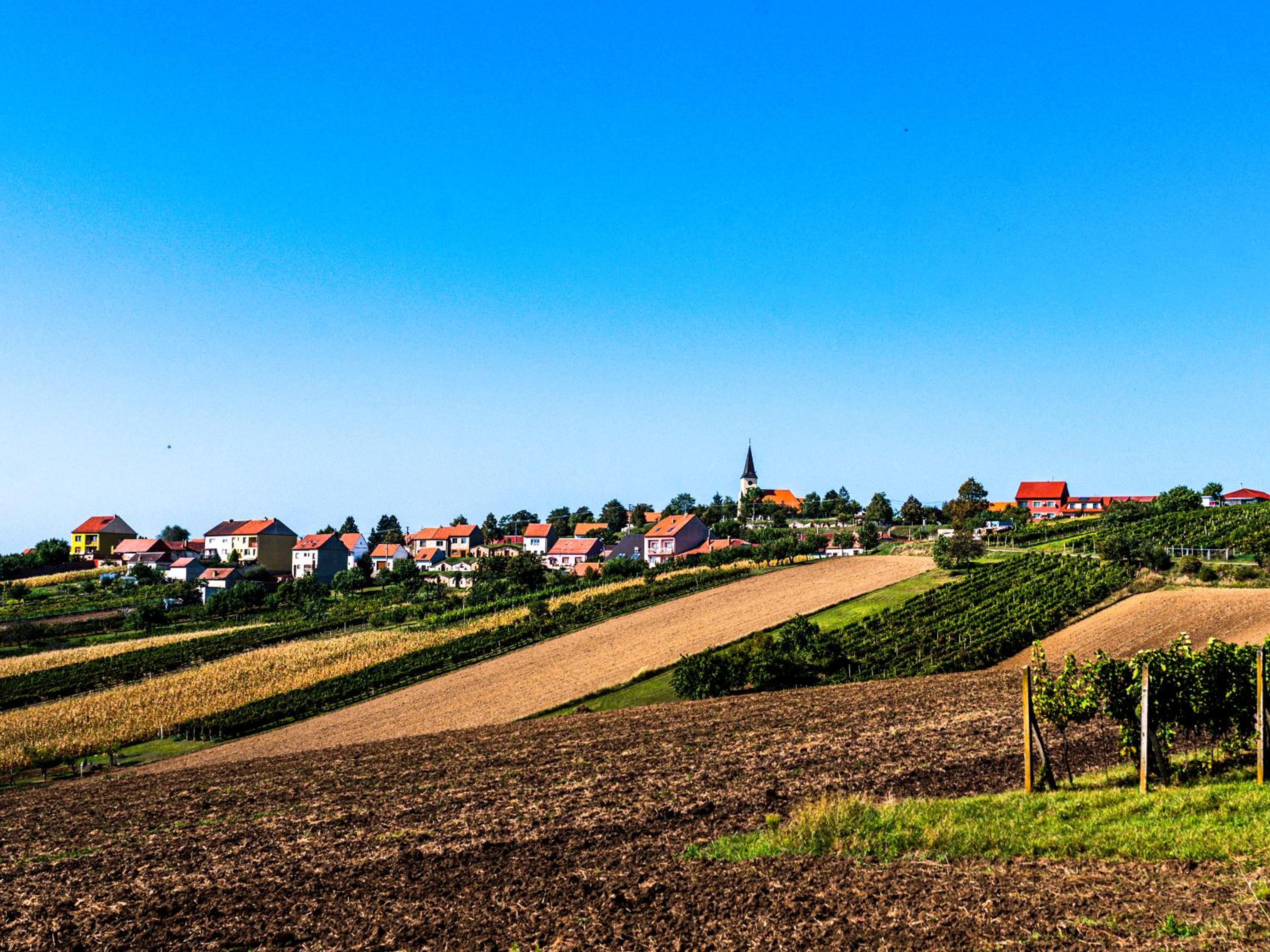 Levandulová chalupa