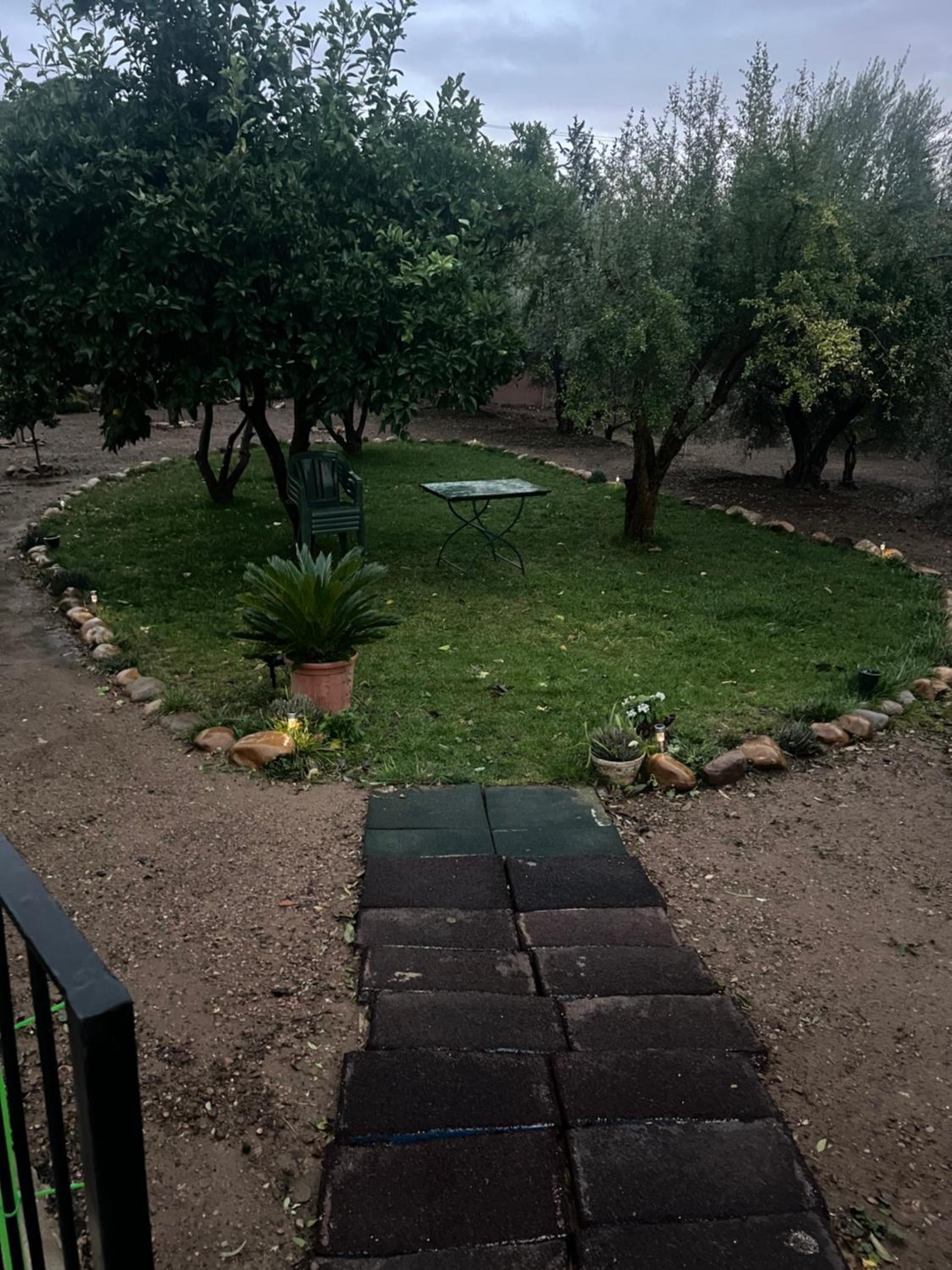 Photo 25