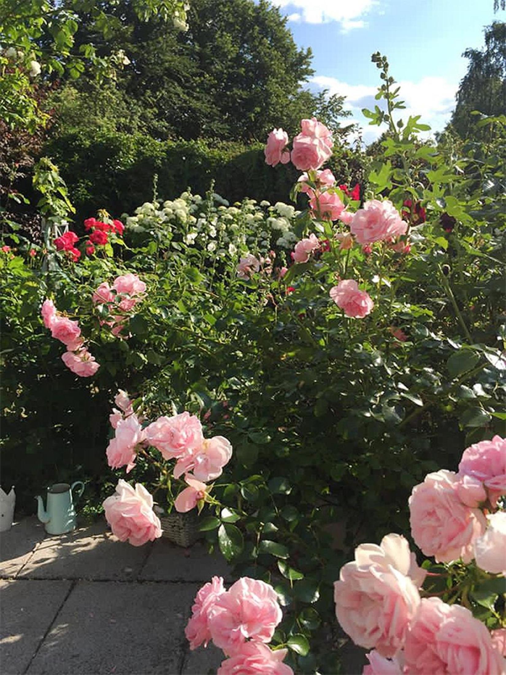 Unser Sommerhaus