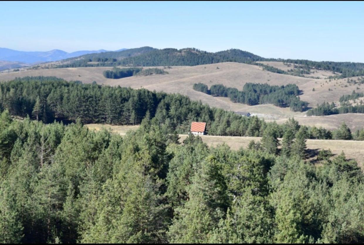 Photo 43