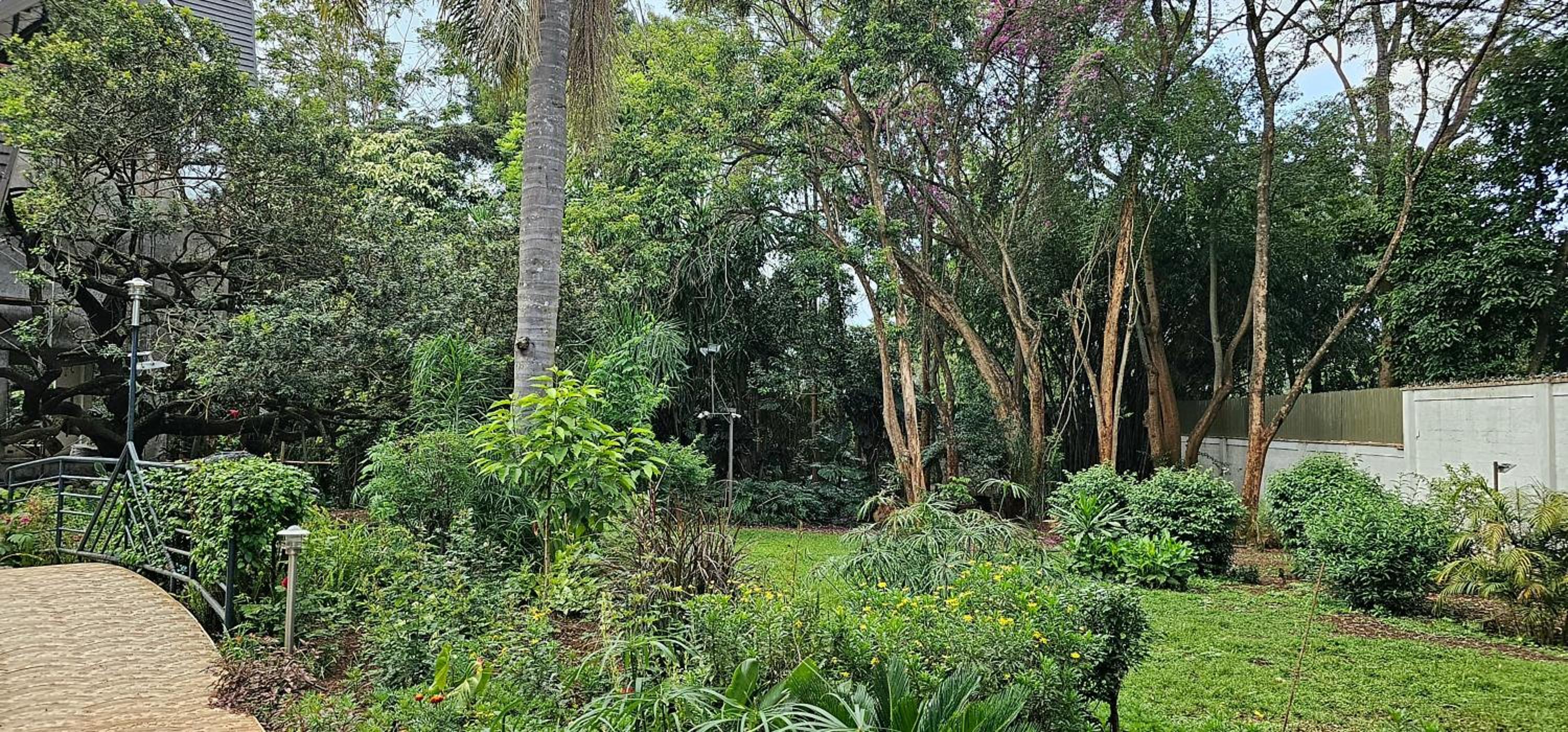 Diplomatic Short Stay Rooms in Gigiri view 4