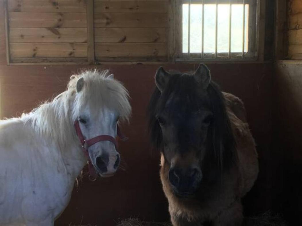 other
