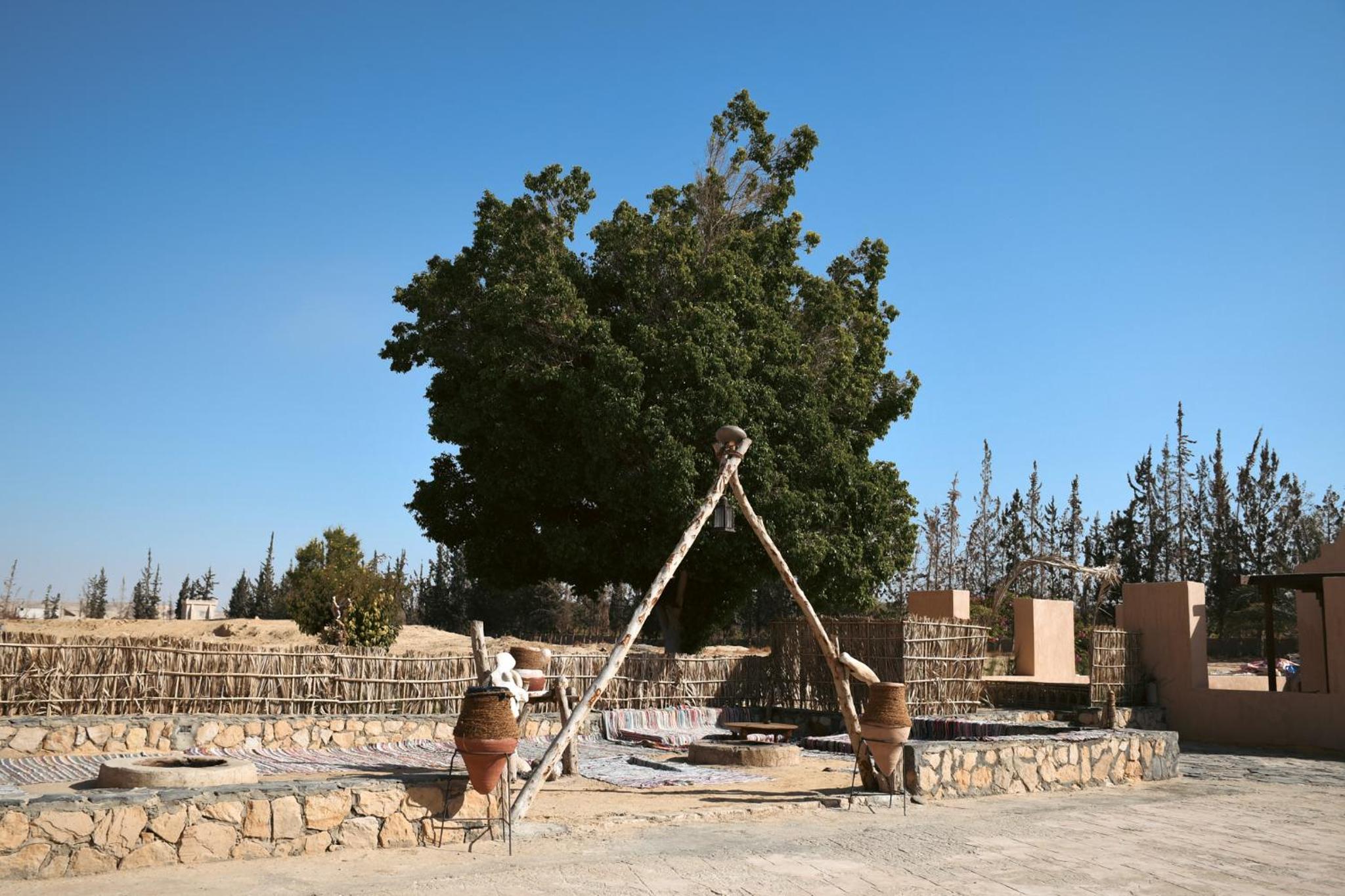 Tzila Bahariya