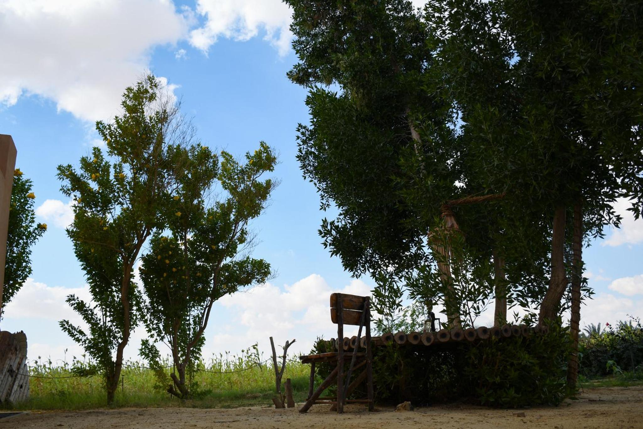 Tzila Bahariya