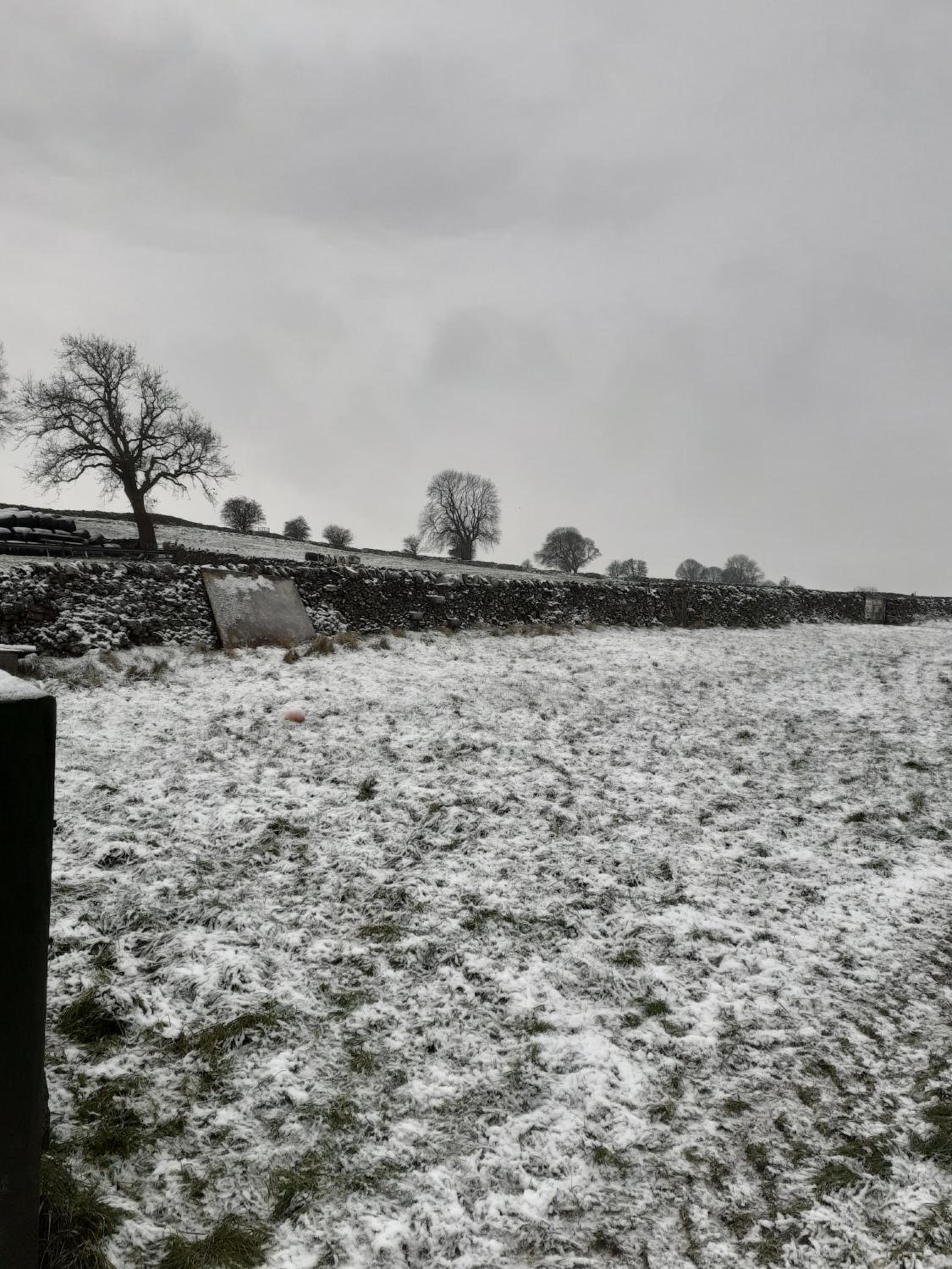 Old Coach House view 3