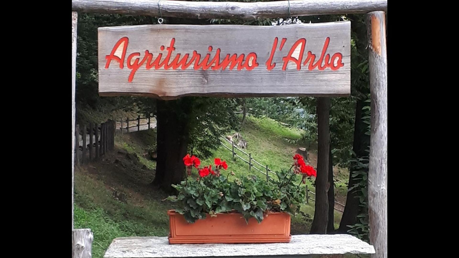 Agriturismo l'Arbo