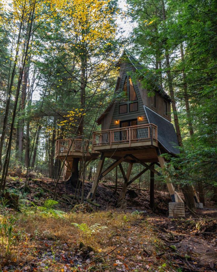 Peaceful Pines Treehouse - Property Image 13