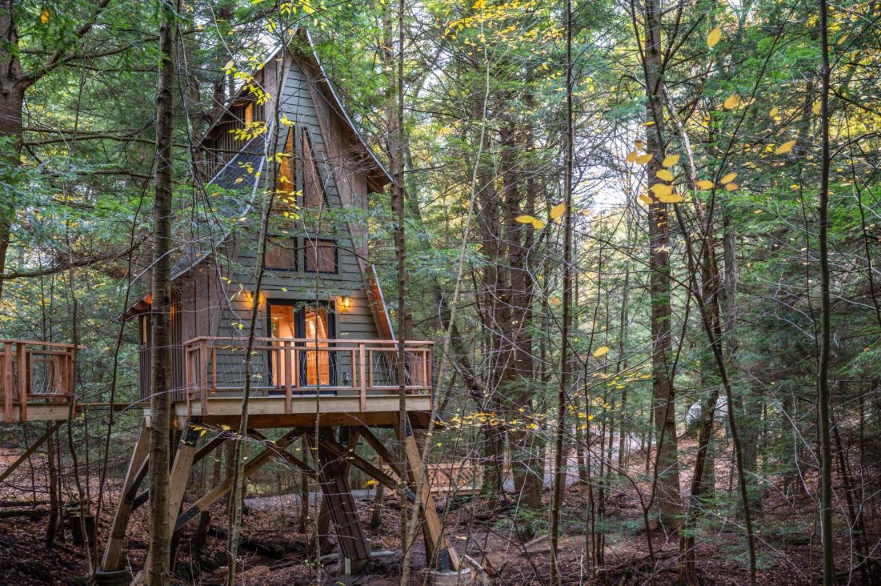 Peaceful Pines Treehouse - Property Image 11