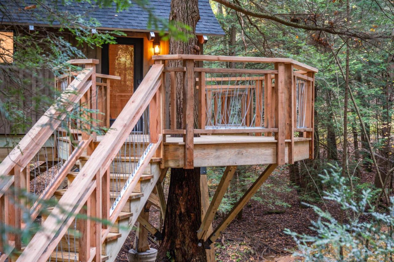 Peaceful Pines Treehouse - Property Image 12