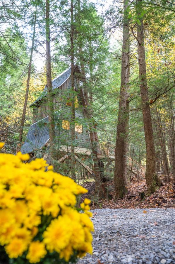 Peaceful Pines Treehouse - Property Image 7