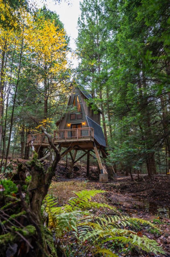 Peaceful Pines Treehouse - Property Image 9