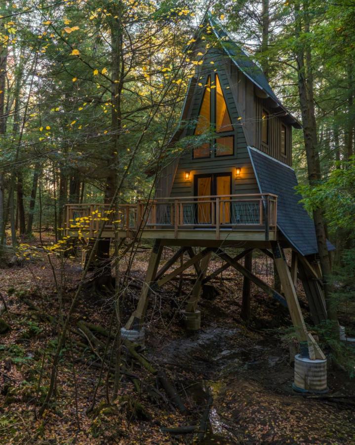 Peaceful Pines Treehouse - Property Image 10