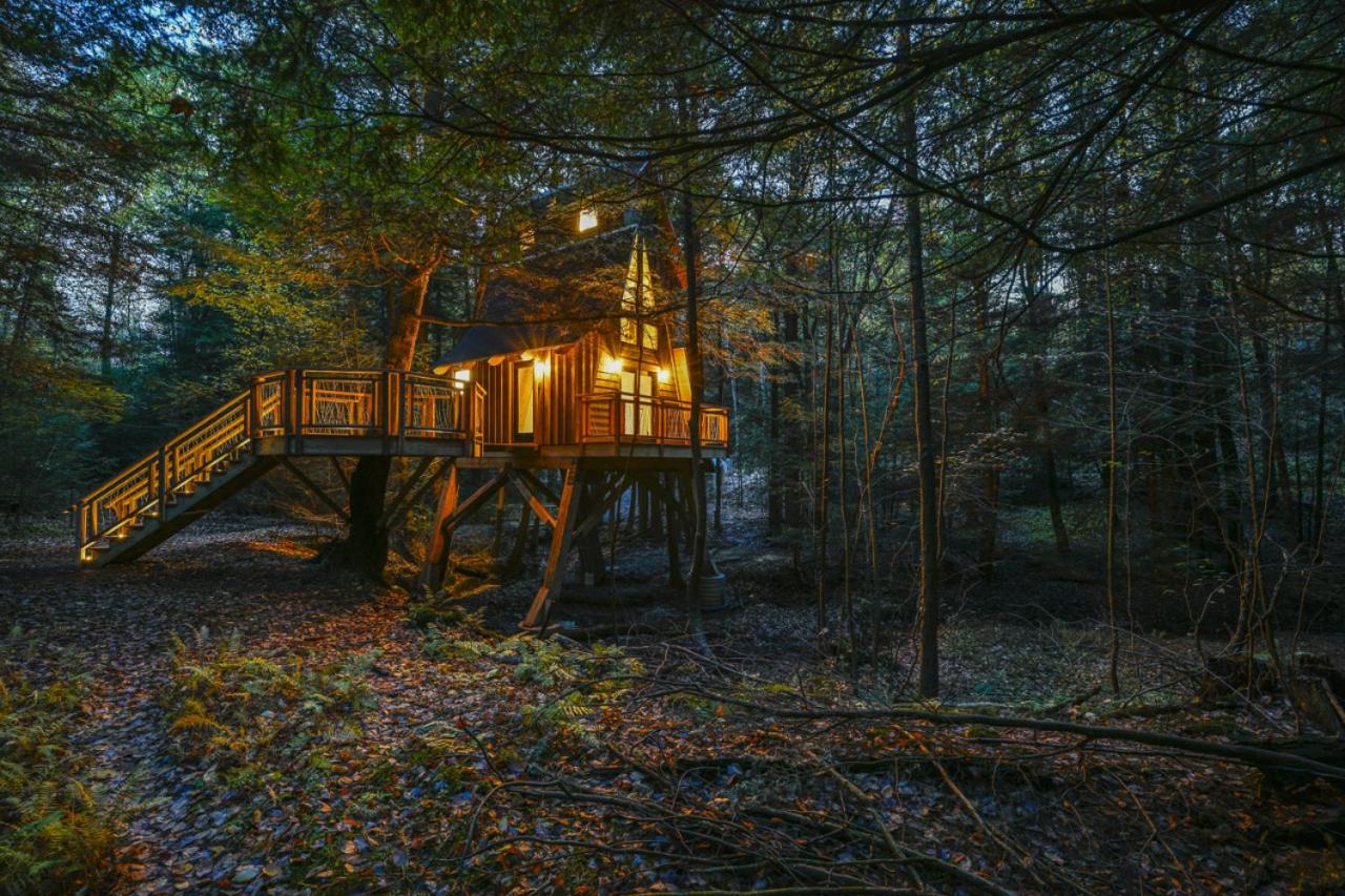 Peaceful Pines Treehouse - Property Image 5