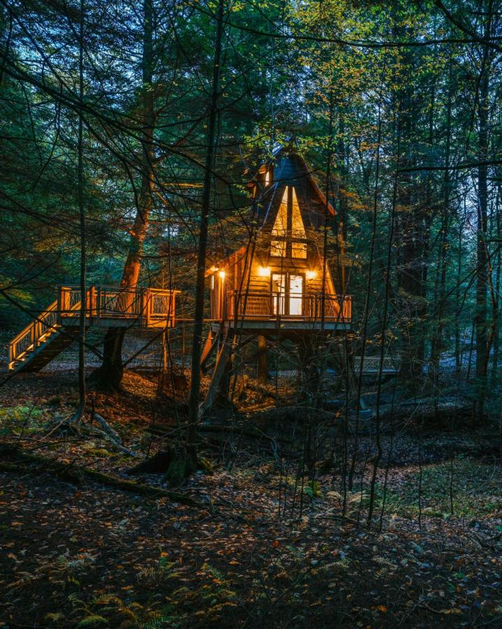 Peaceful Pines Treehouse - Property Image 2