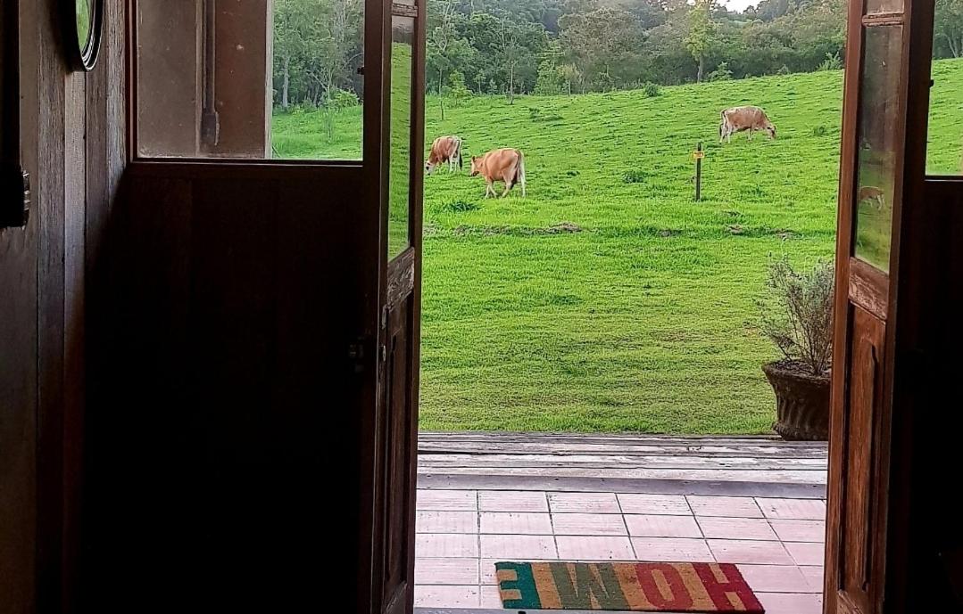 Casa de Campo proxima à Estrada do Vinho