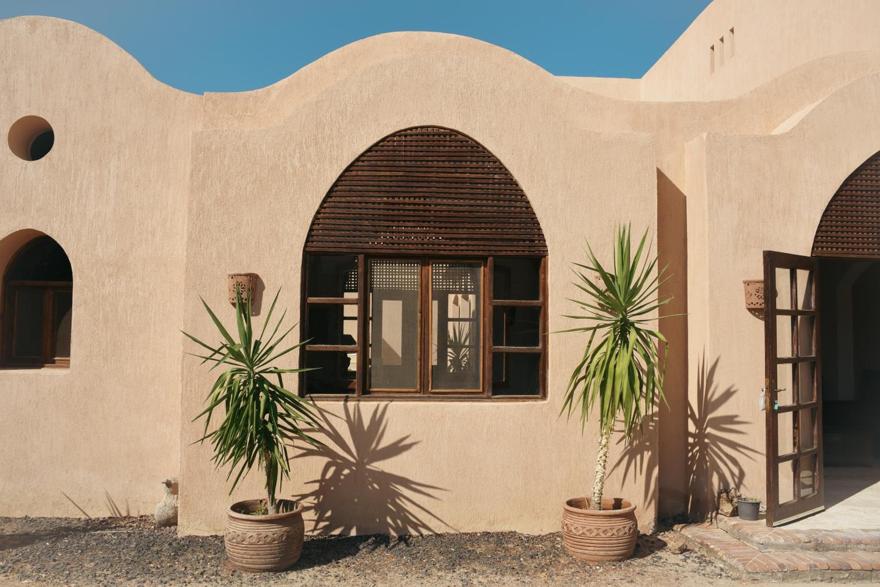 Tzila Bahariya