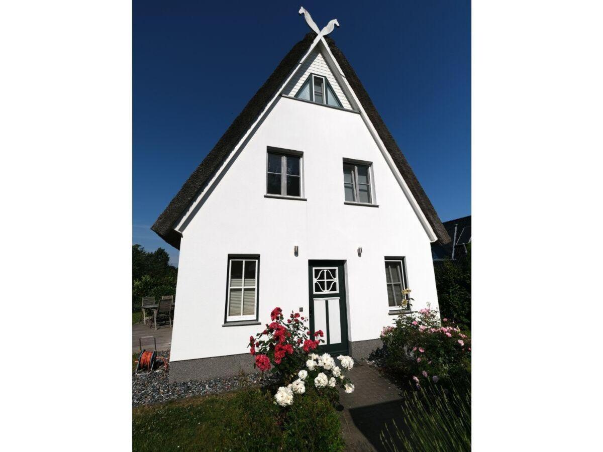 Strandgut-Reethus