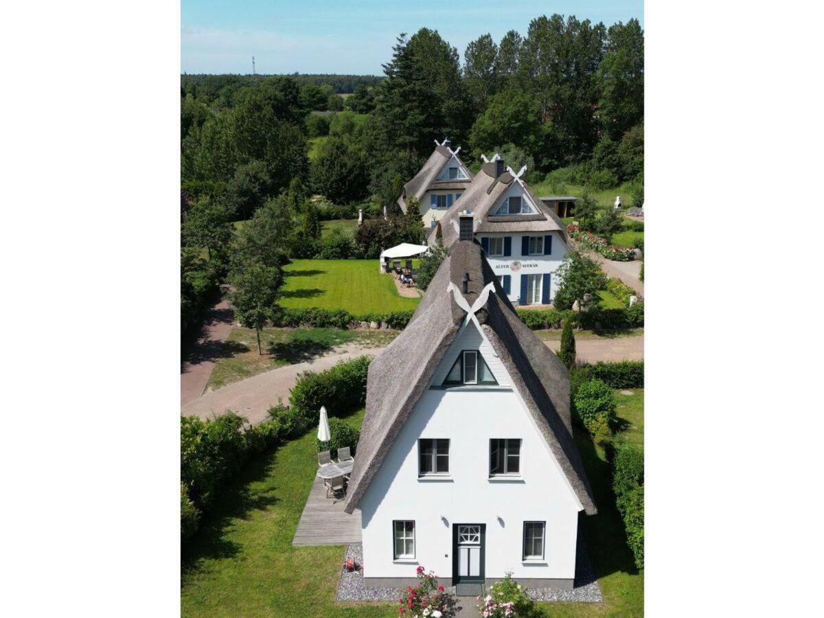 Strandgut-Reethus