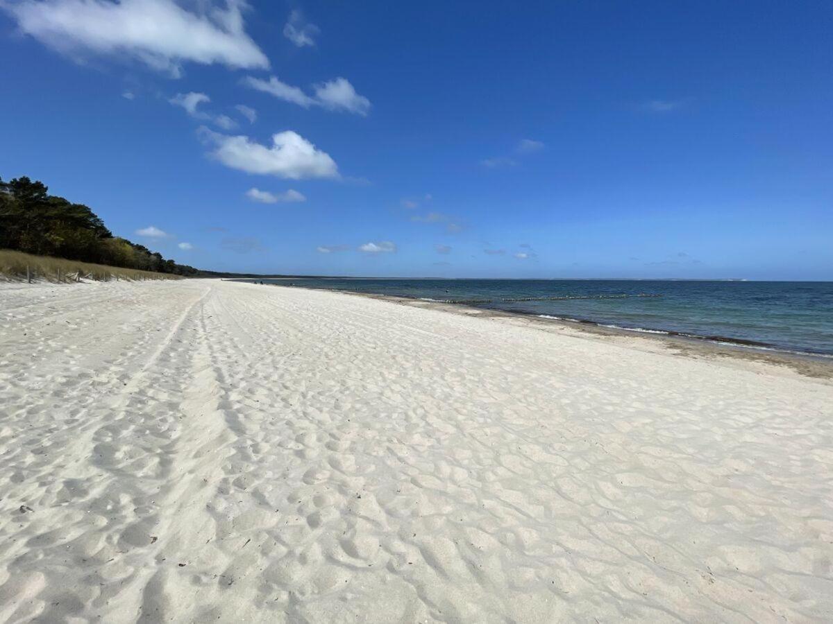 Strandgut-Reethus
