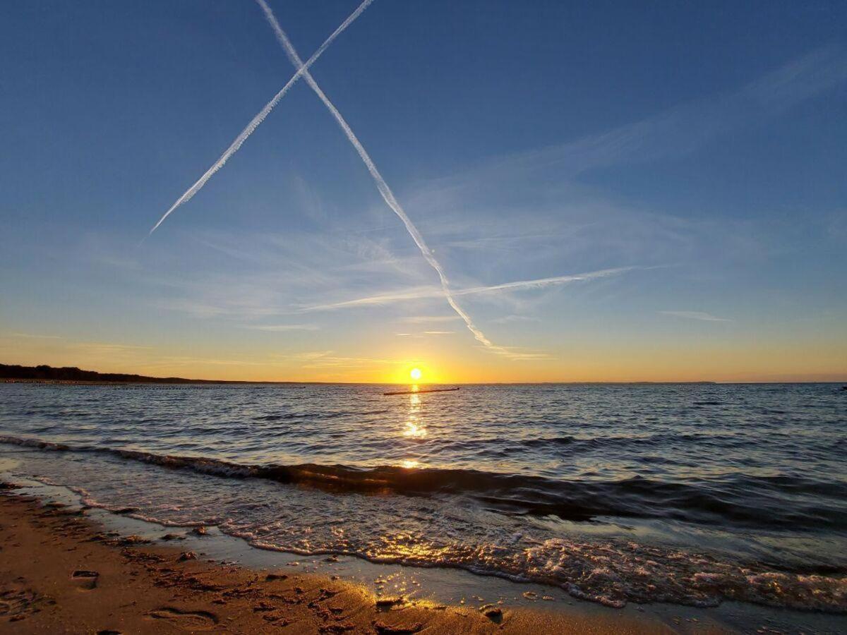 Strandgut-Reethus