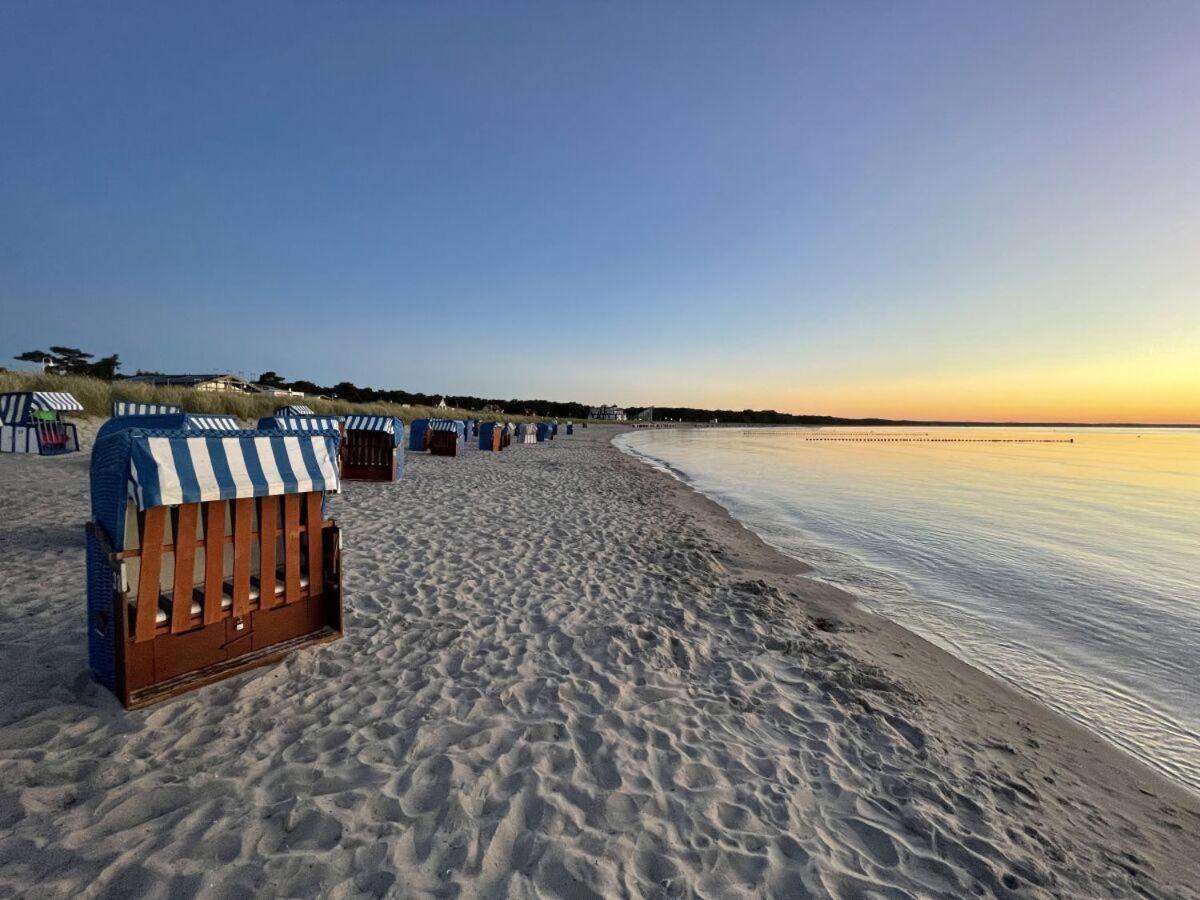 Strandgut-Reethus