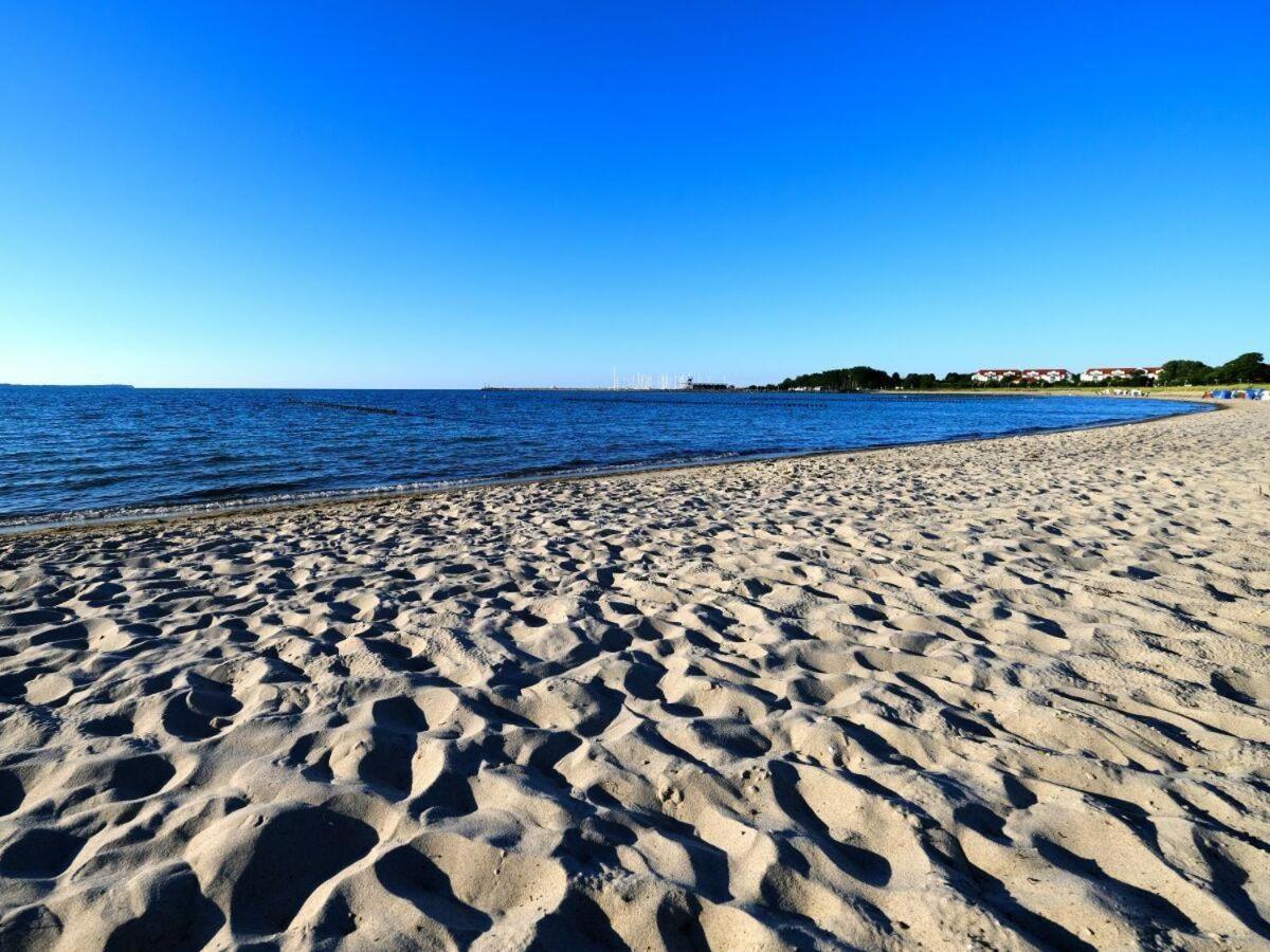 Strandgut-Reethus