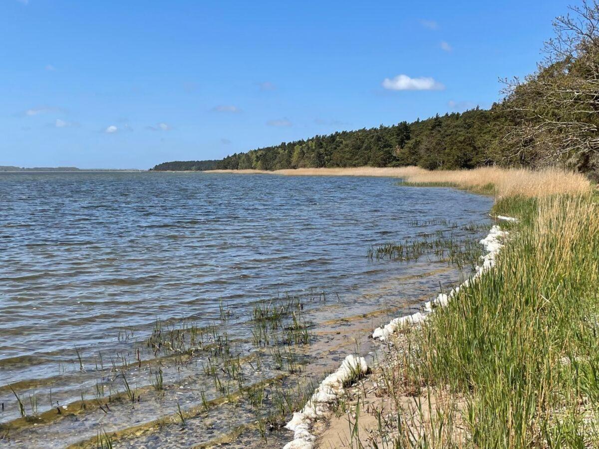 Strandgut-Reethus
