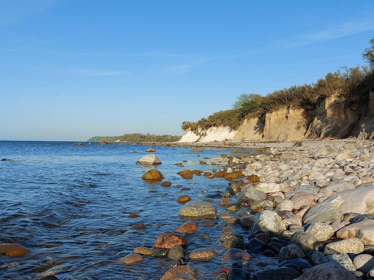Strandgut-Reethus