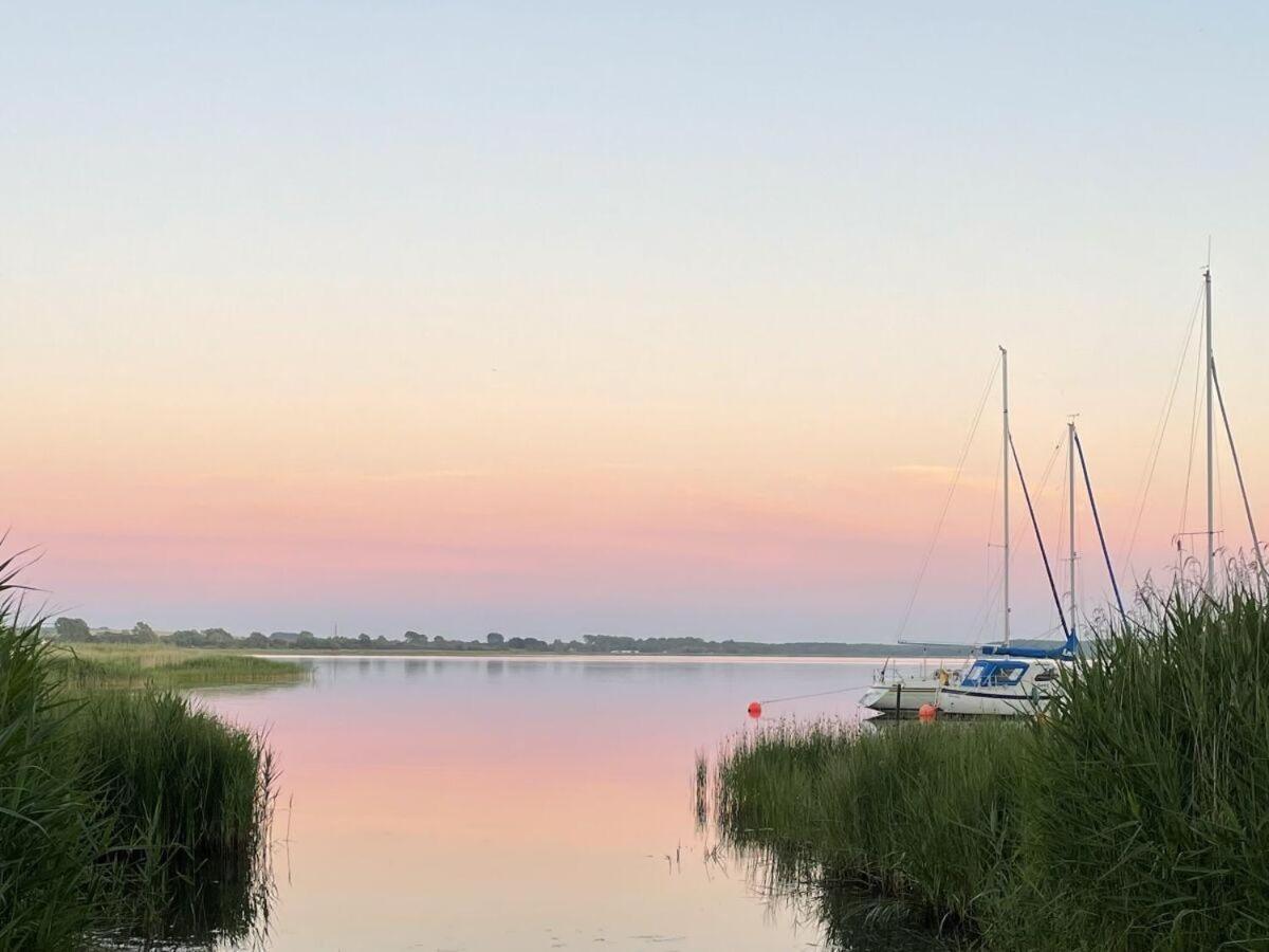 Strandgut-Reethus