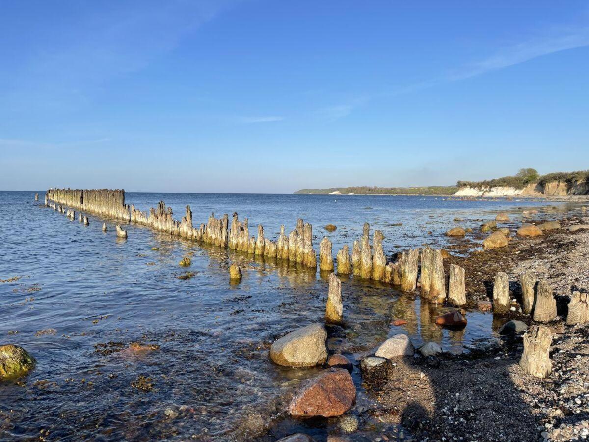 Strandgut-Reethus