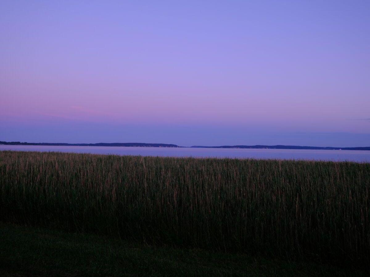 Strandgut-Reethus