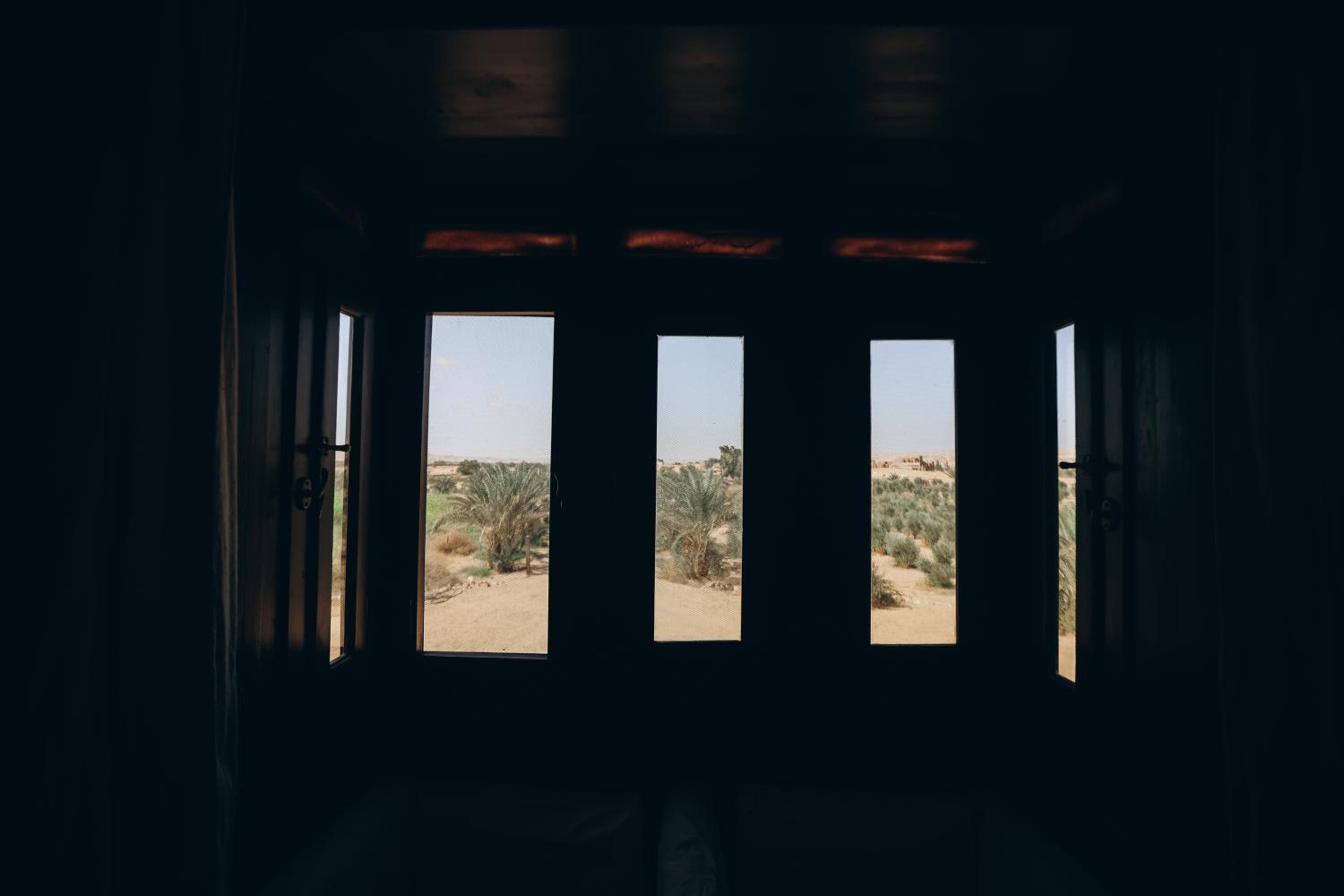 Tzila Bahariya