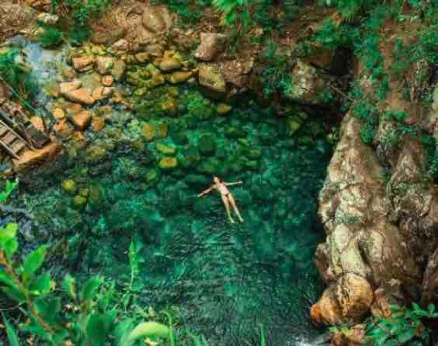 Canto de Criador