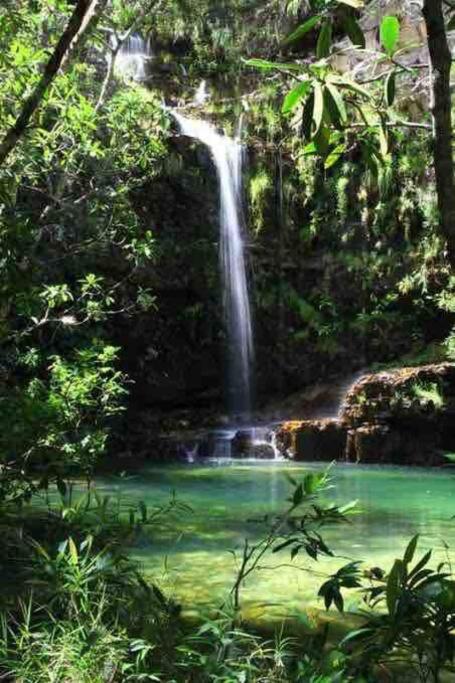 Canto de Criador