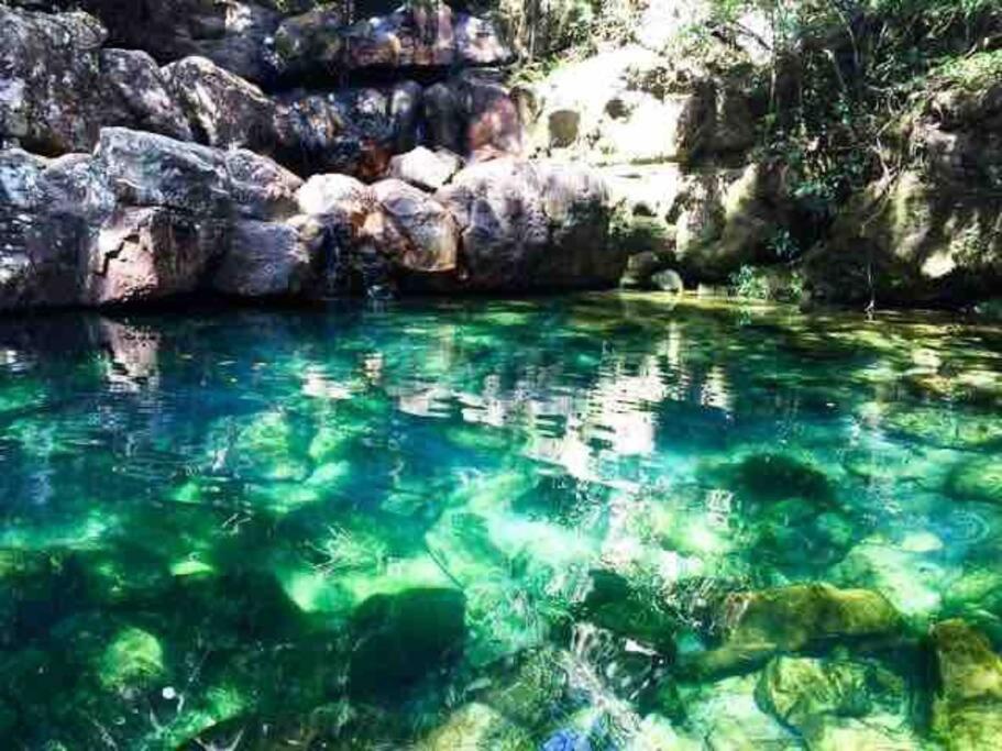 Canto de Criador