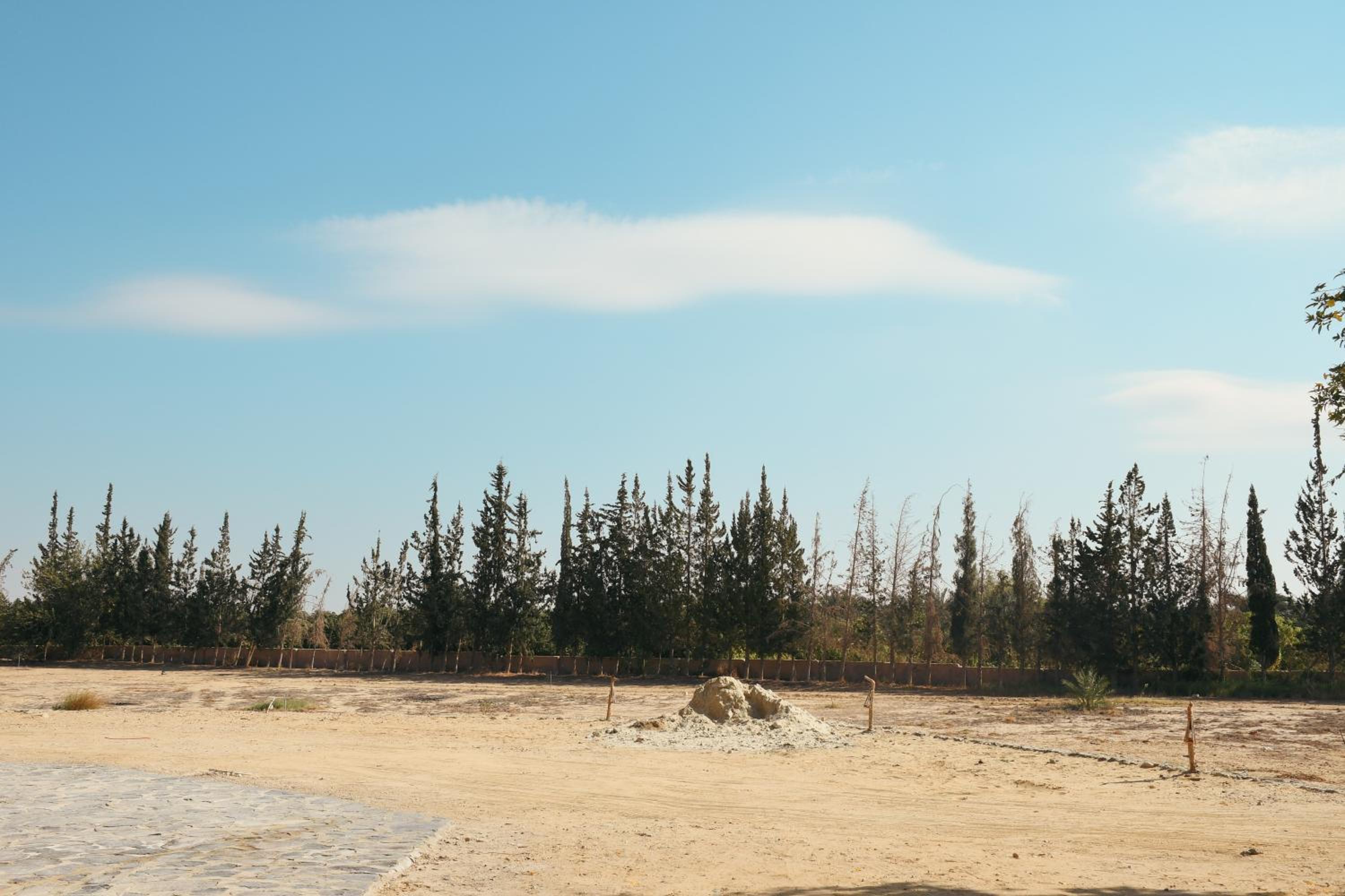 Tzila Bahariya